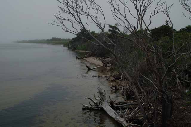 Island Beach State Park